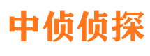 平桥商务调查